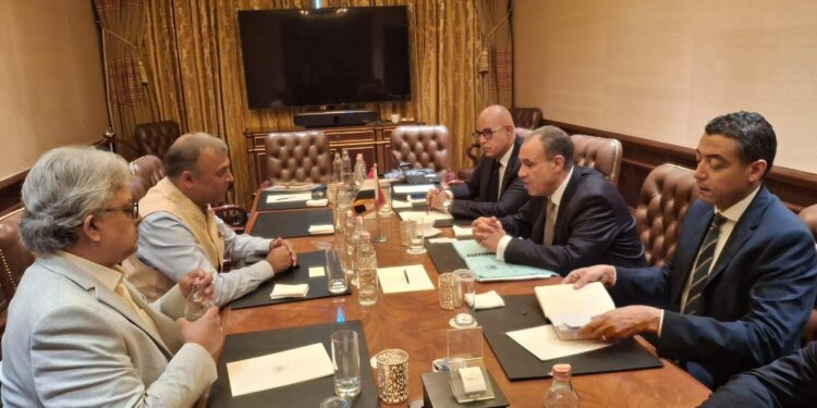 وزير الخارجية يؤكد أهمية التعاون بين شركة Ocior Energy الهندية للطاقة المتجددة وهيئة الطاقة الجديدة في مصر