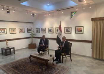 وزير الخارجية يثمن مساهمة الجالية المصرية بالهند في تحقيق المصالح المشتركة بين البلدين