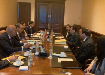 وزير الخارجية لمدير هندوجا الهندية: يوجد طلب كبير على السيارات والحافلات الكهربائية محليا في مصر