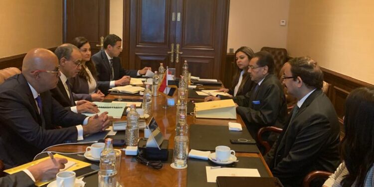 وزير الخارجية لمدير هندوجا الهندية: يوجد طلب كبير على السيارات والحافلات الكهربائية محليا في مصر