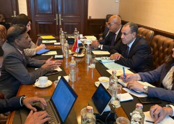 وزير الخارجية يستعرض فرص التعاون بين صندوق مصر السيادي وOberoi الهندية في تطوير عدد من المباني والأصول