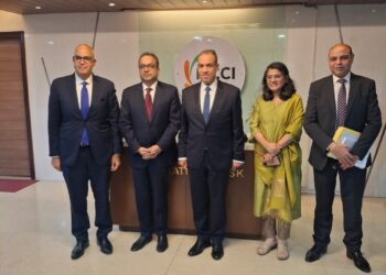 وزير الخارجية: الاستثمارات الهندية في مصر تقدر بنحو 4 مليارات دولار