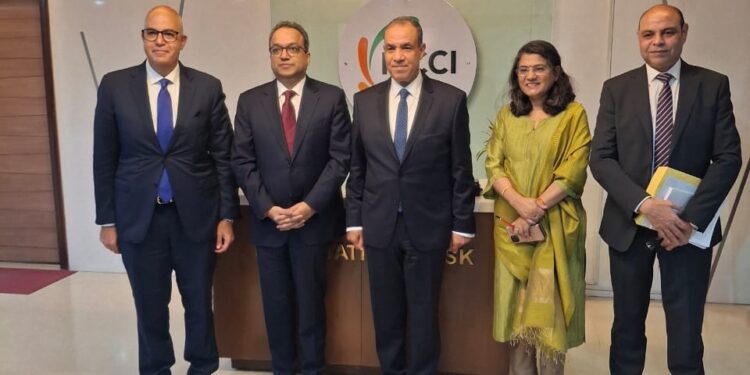 وزير الخارجية: الاستثمارات الهندية في مصر تقدر بنحو 4 مليارات دولار