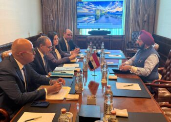 وزير الخارجية: دراسة التوصل لاتفاق لعقد صفقات متكافئة لتبادل القمح الهندي والأسمدة المصرية بين البلدين