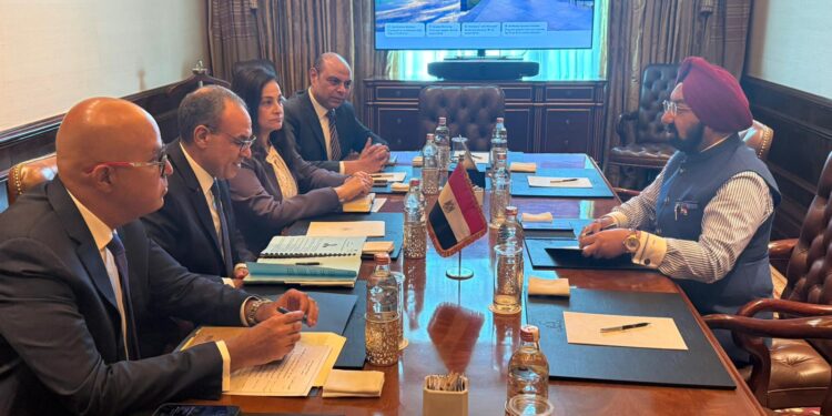 وزير الخارجية: دراسة التوصل لاتفاق لعقد صفقات متكافئة لتبادل القمح الهندي والأسمدة المصرية بين البلدين