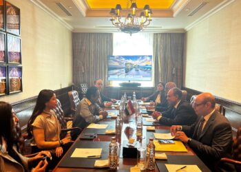 وزير الخارجية: تسهيل منح تأشيرات لمسئولي الشركات الأجنبية المستثمرة في مصر