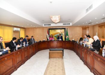 محافظ الفيوم ونائب وزير الاتصالات يناقشان التعاون المشترك في تنفيذ  التطوير المؤسسي والتحول الرقمي