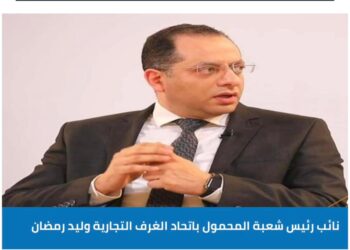 شعبة المحمول تكشف موقفها من تبعات قرار إلغاء إعفاء الهواتف المستوردة من الرسوم الجمركية