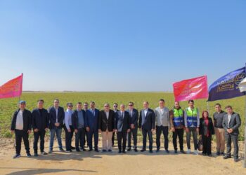 جهاز مستقبل مصر يبحث مع وفدًا أوزبكيًا فرص الاستثمار الزراعي المشترك