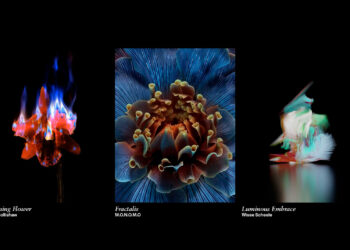 إل جي تتعاون مع منصة Sedition لتقديم أعمال فنية حصرية من خلال خدمة LG Gallary+