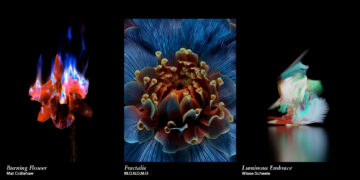 إل جي تتعاون مع منصة Sedition لتقديم أعمال فنية حصرية من خلال خدمة LG Gallary+