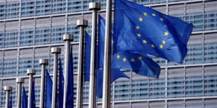 تفاصيل رسوم الاتحاد الأوروبي على المنتجات الصينية بنسبة 79%