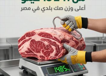  تطبيق سند يطلق موسم الأضاحي 2026 بمنظومة رقمية متكاملة لتعزيز الشفافية في العمل الخيري