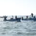 بحيرة ناصر تدخل مرحلة جديدة من التنظيم وتعظيم العائد الاقتصادي للثروة السمكية
