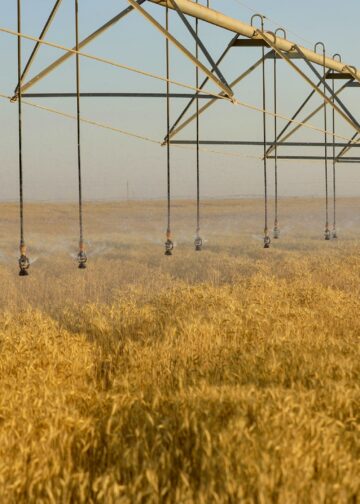 كيف يدير جهاز مستقبل مصر منظومة متكاملة لتأمين احتياجات الدولة؟
