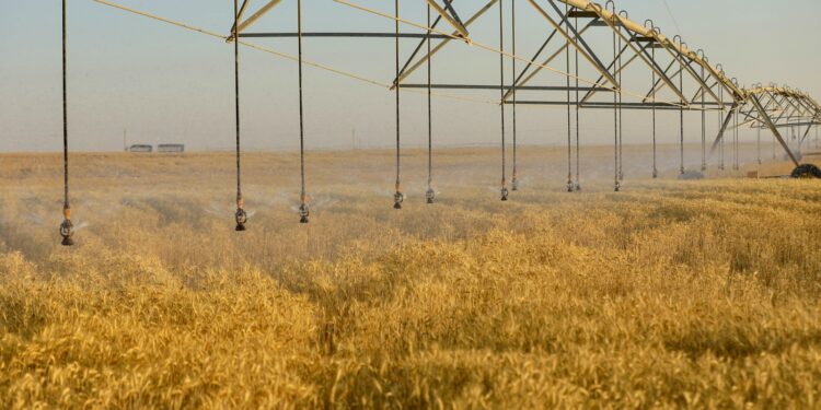 كيف يدير جهاز مستقبل مصر منظومة متكاملة لتأمين احتياجات الدولة؟